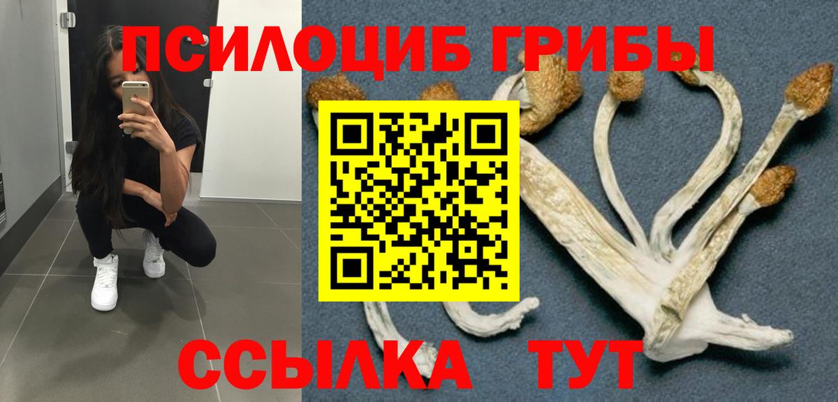 Псилоцибиновые грибы Cubensis  Галлюциногенные грибы мицелий  Полысаево  Вход с VPN 